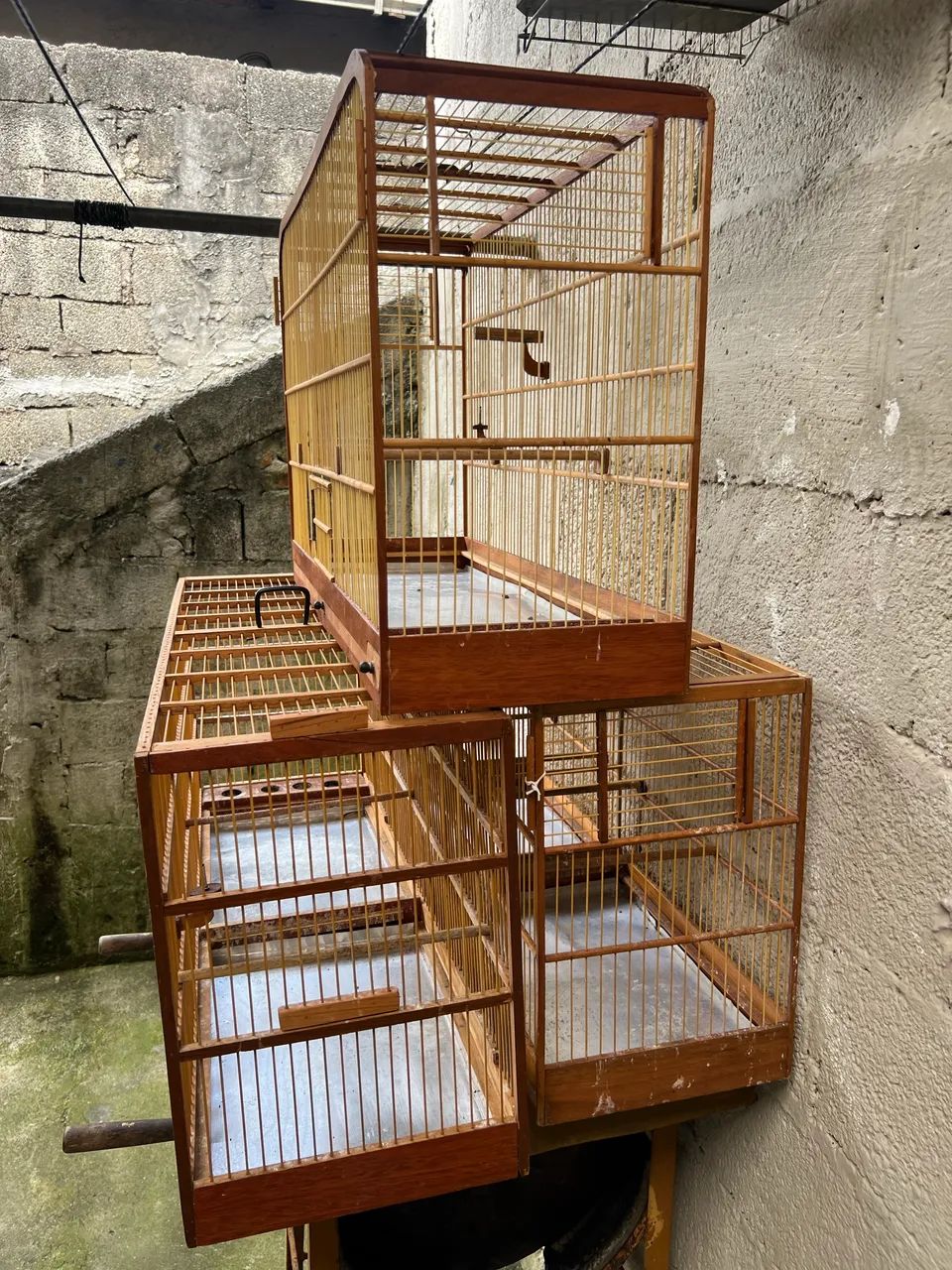 Gaiolas disponíveis 