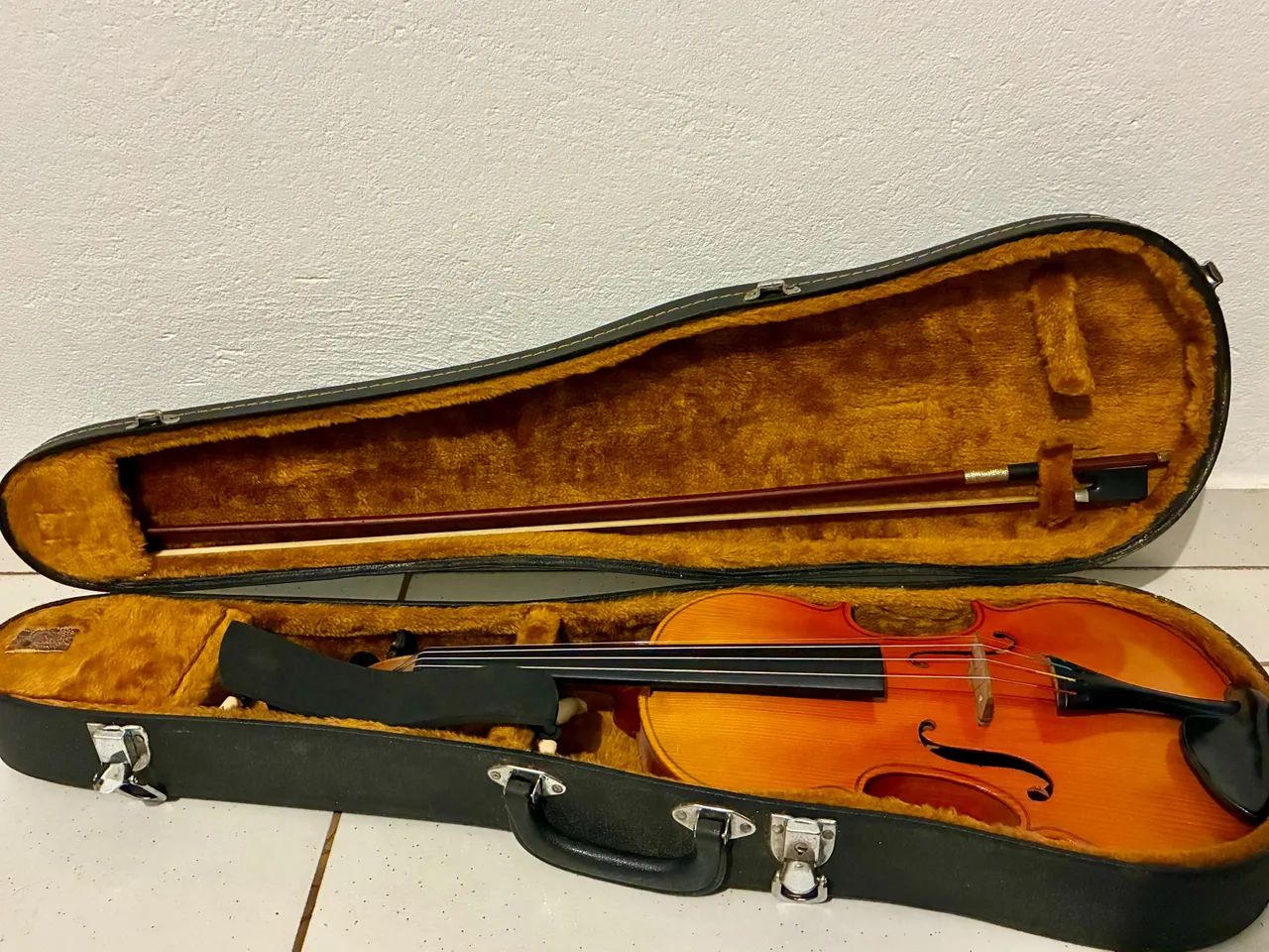 Violino Swallow