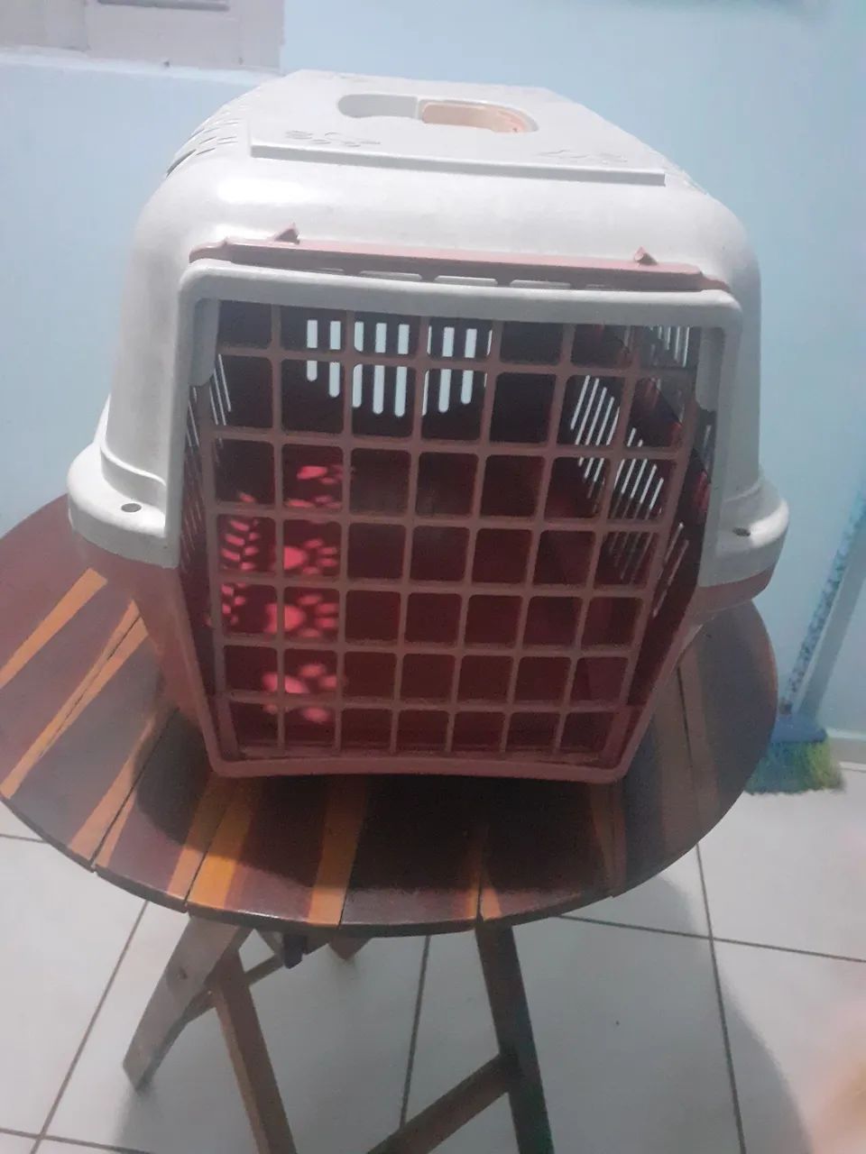 Caixa de Transporte para Cães e Gatos!