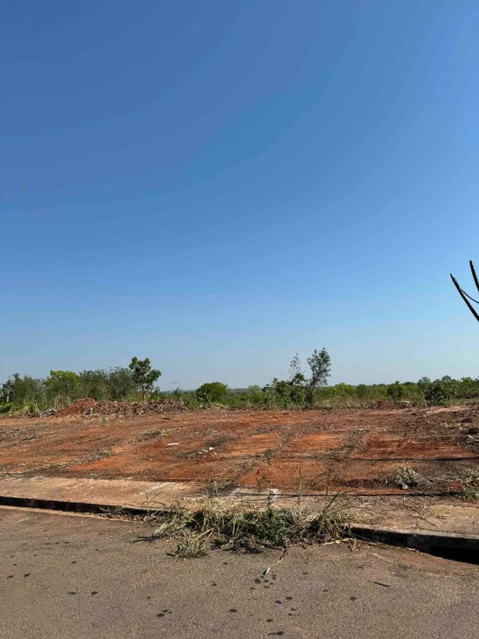TERRENO RESIDENCIAL JACARANDÁ