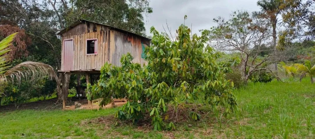 Sítio à venda br-319 Km 110 - Foto 5