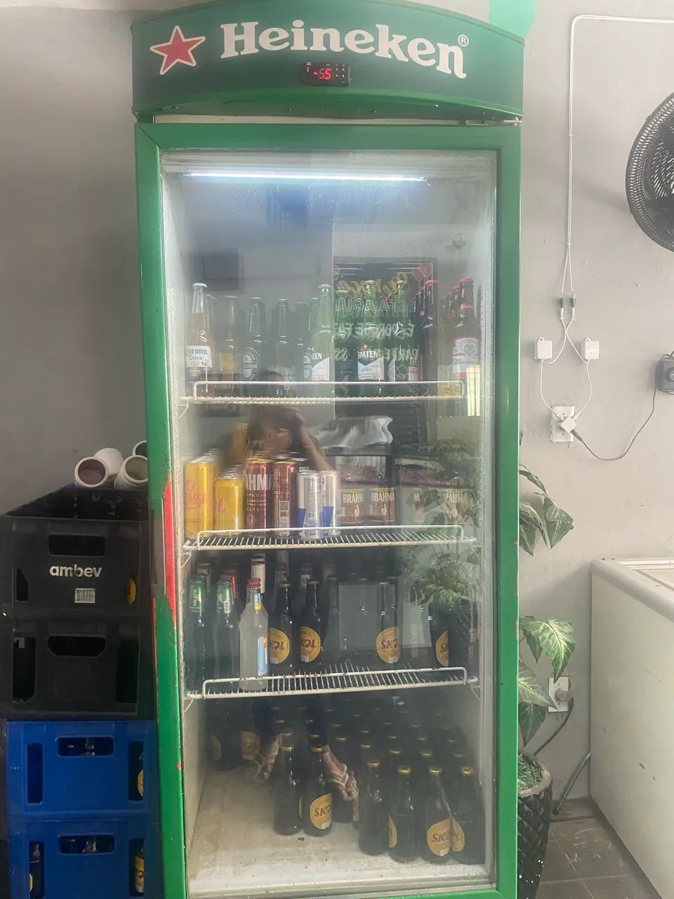 Cervejeiro  - Foto 4