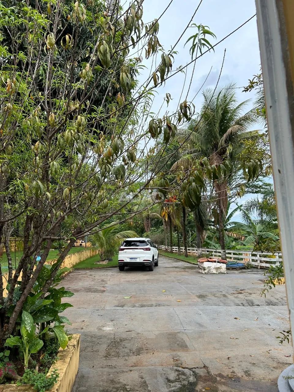 Chácara dentro de Goiania - Foto 3