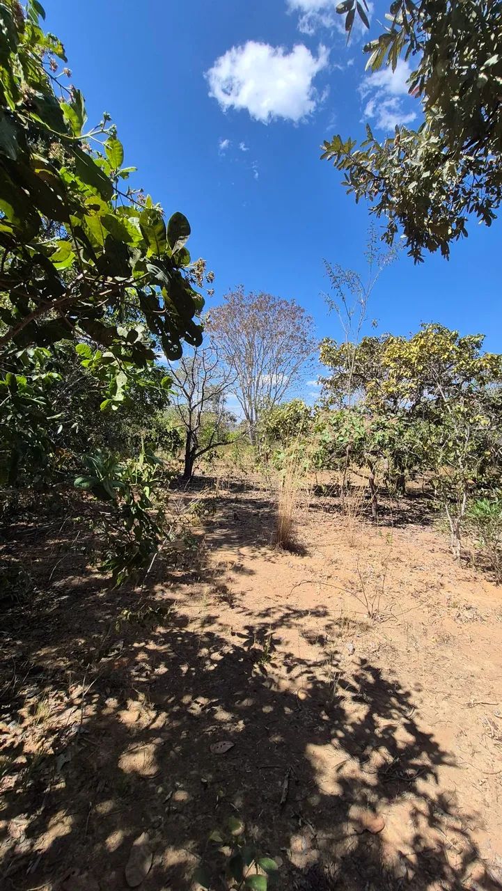Terreno em Cavalcante Chapada dos veadeiros - Foto 2