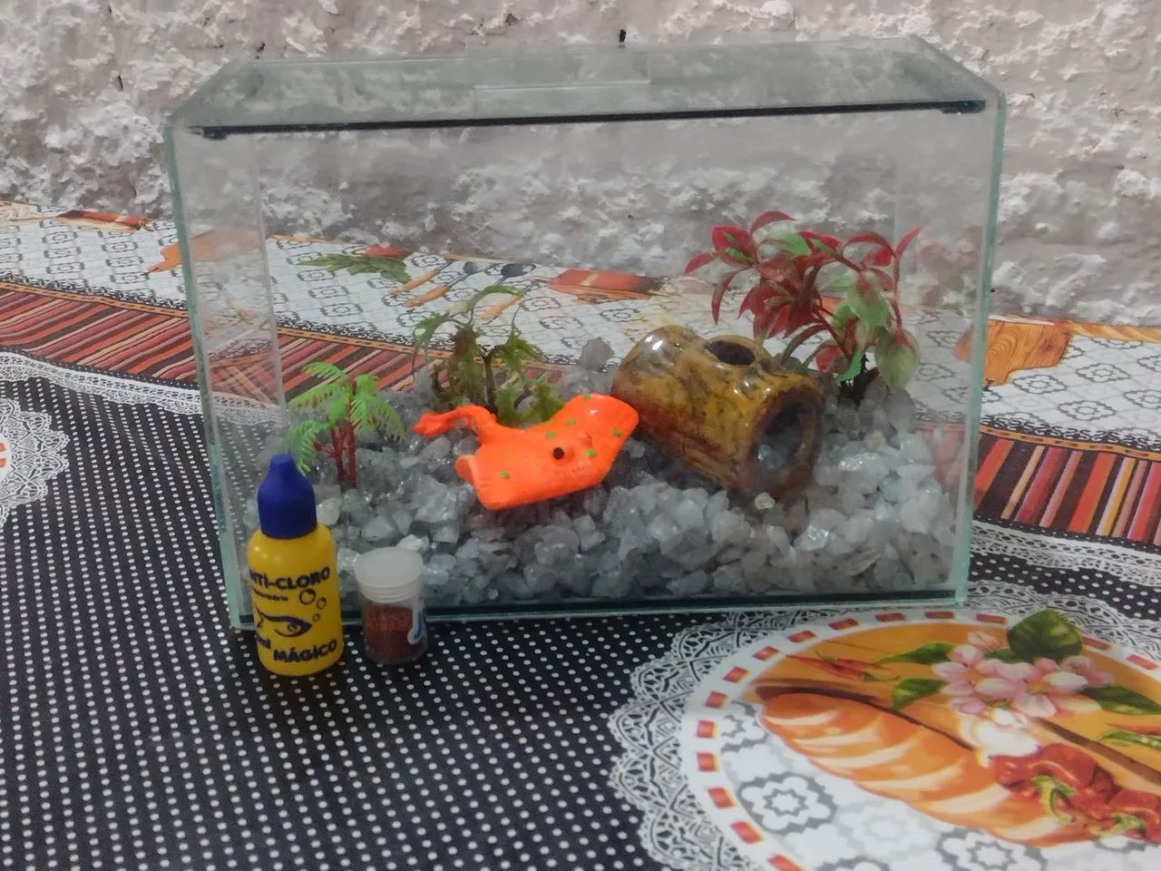 AQUÁRIO 5 LITROS COMPLETO+ ANTICLORO + RAÇÃO - ITAPETININGA  - Foto 3