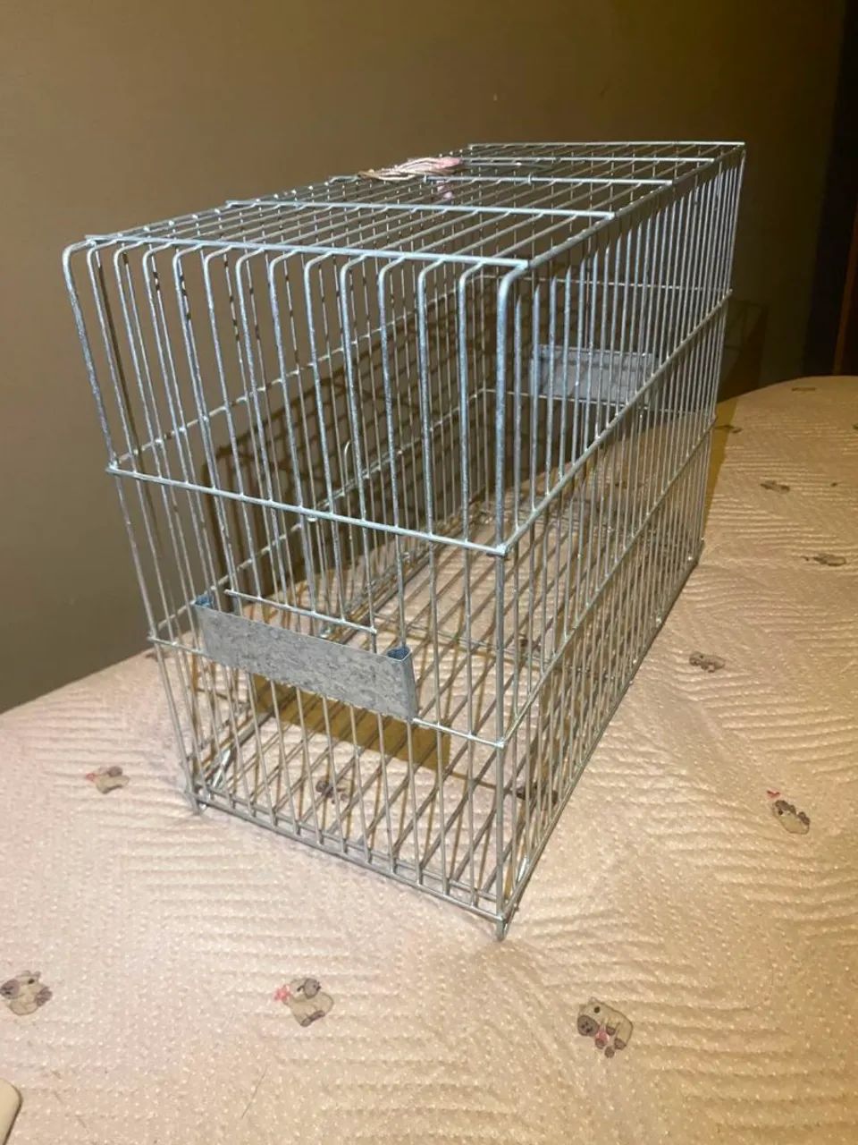 GAIOLA  - Foto 2