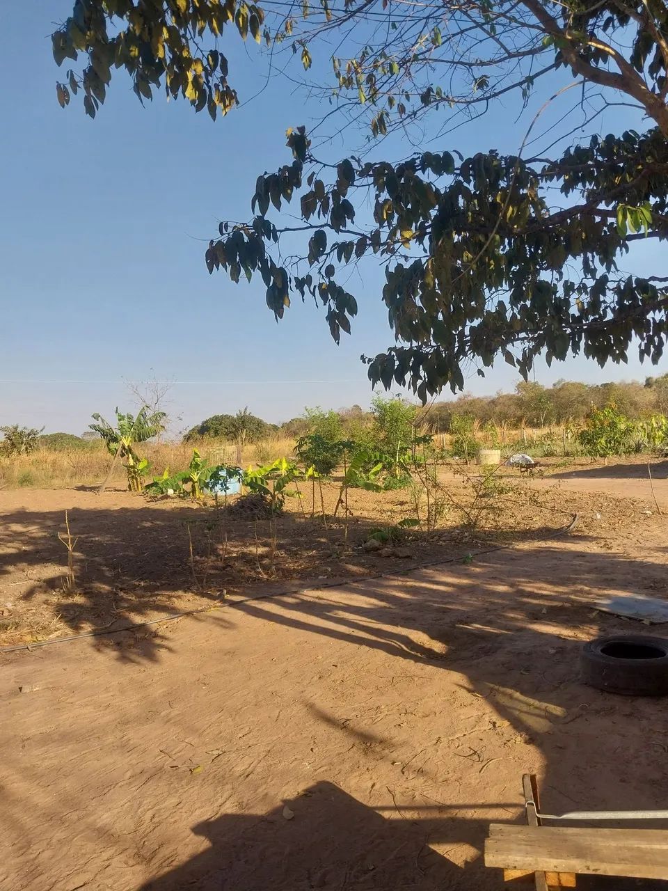 chácara em Santo Antônio água de poço e energia  - Foto 4