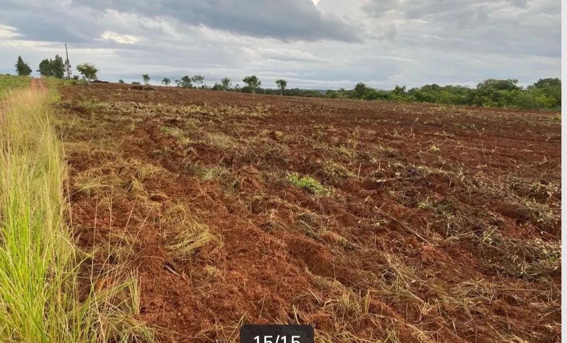 Fazenda 42 alqueires a 28km de Araguaína  - Foto 5