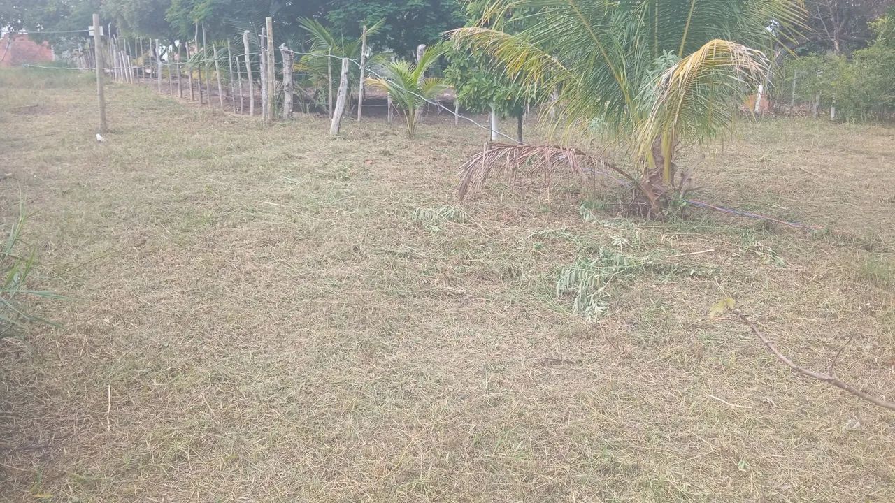 Terreno em Arembepe  - Foto 3
