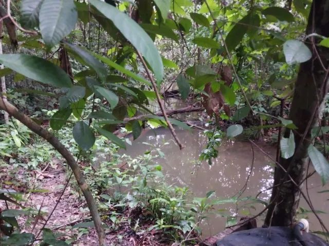 LINDO TERRENO COM IGARAPÉ - Foto 3