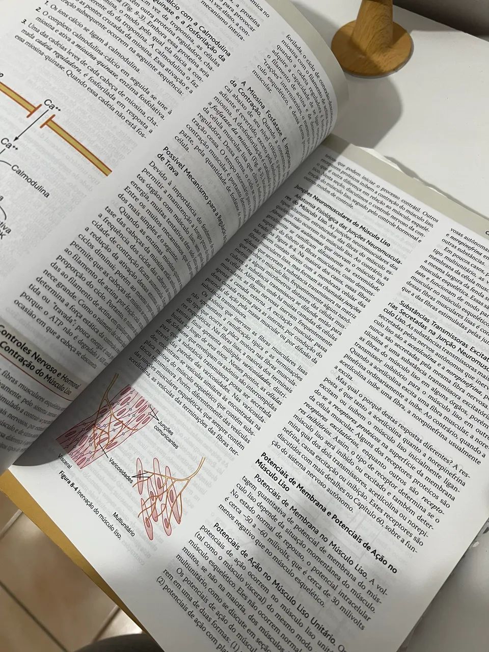 Livro de fisiologia medica  - Foto 6