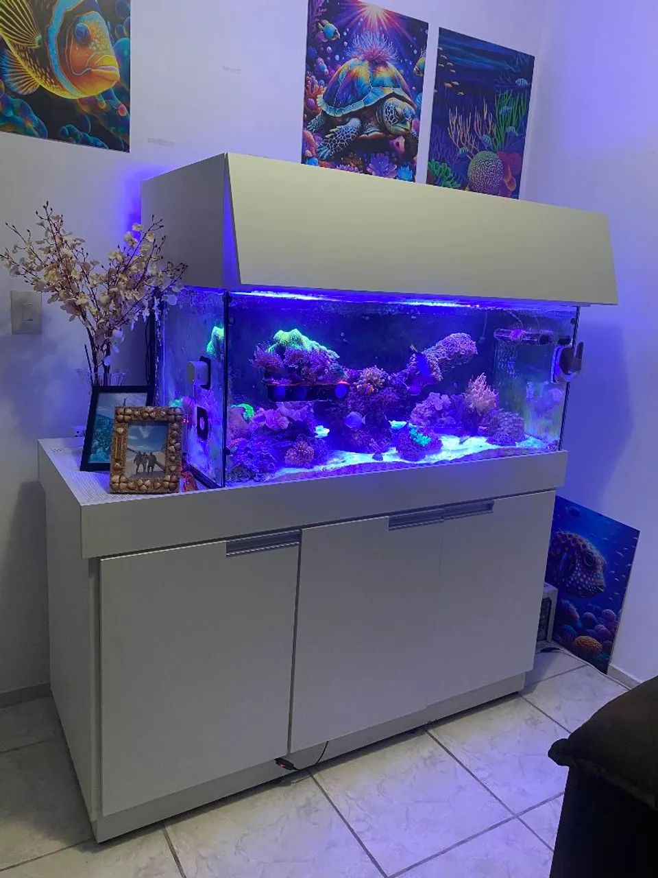 AQUÁRIO MARINHO COMPLETO  - Foto 3