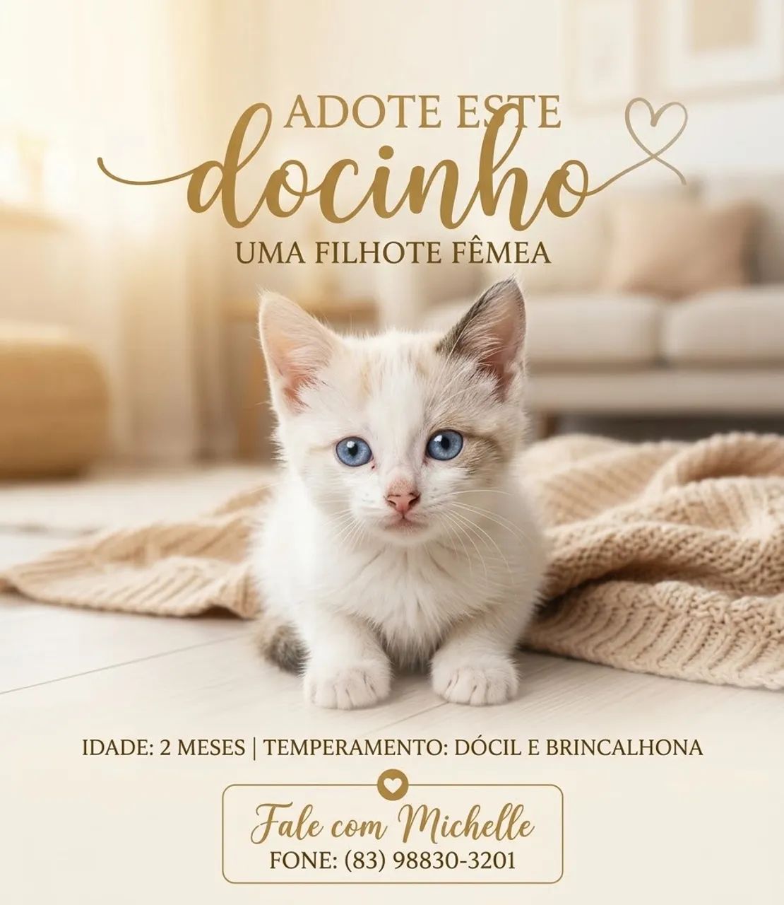 Filhote de gato fêmea 