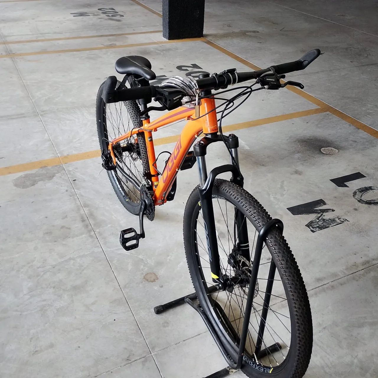 Bicicleta oggi