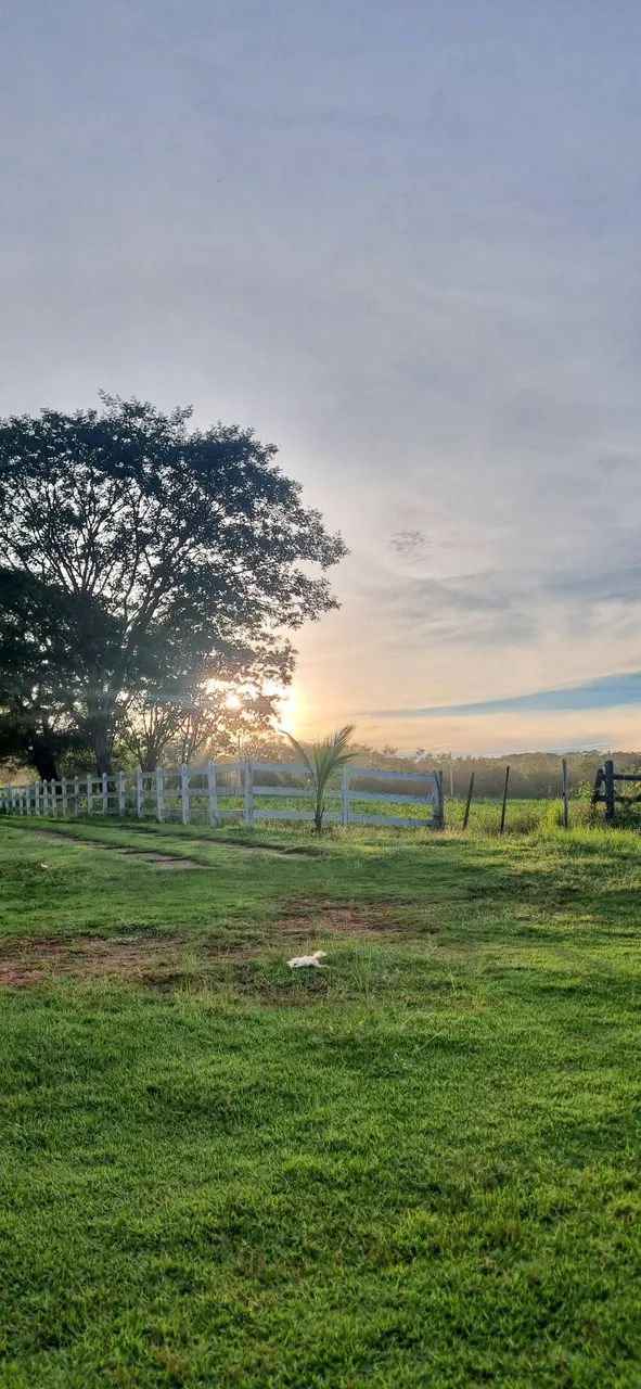 Sítio para Alugar Final de semana Feriado festas e eventos   - Foto 3