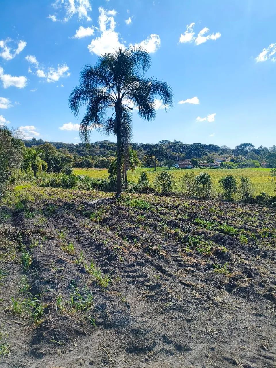 Terreno em agudos do sul - Foto 4