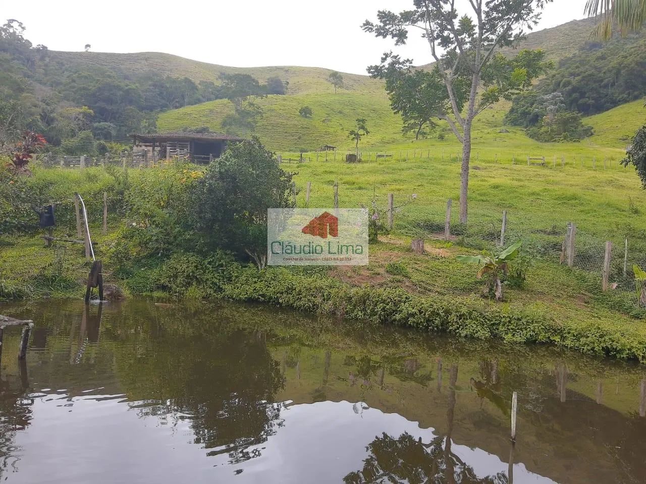Fazenda com 535 ha em Iguaí-BA - Foto 3