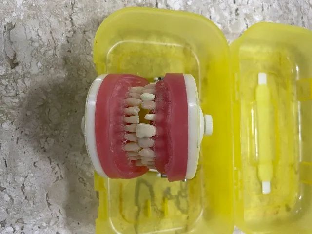 Manequim Pronew Dentistica  - Foto 2