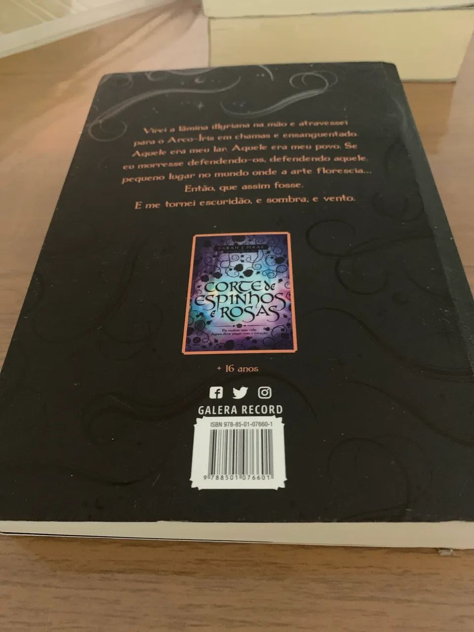 Corte de névoa e fúria livro (3)  - Foto 4