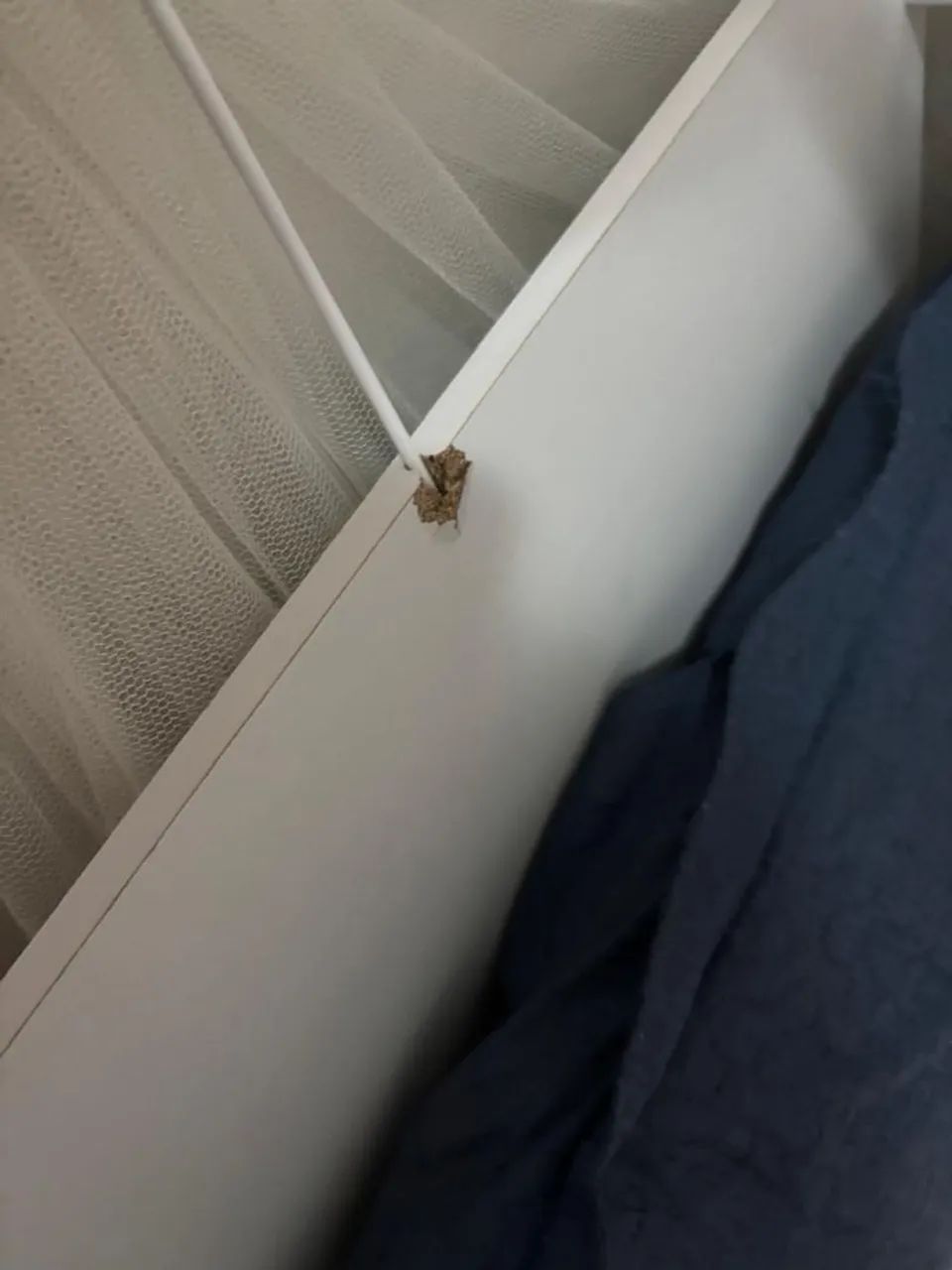 berço americano 3 em 1 - Foto 4