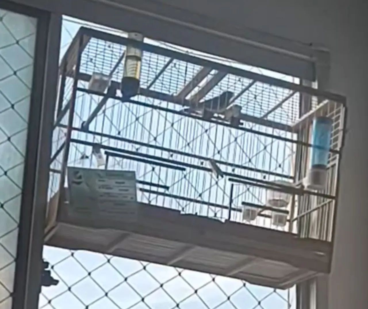 Gaiolas Criadeiras de Coleiro - Foto 2