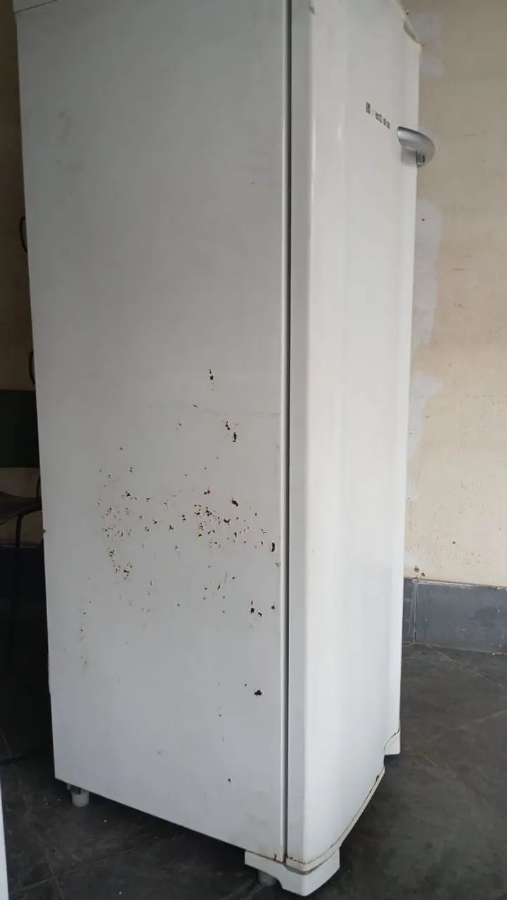 frezer Electrolux  - Foto 3