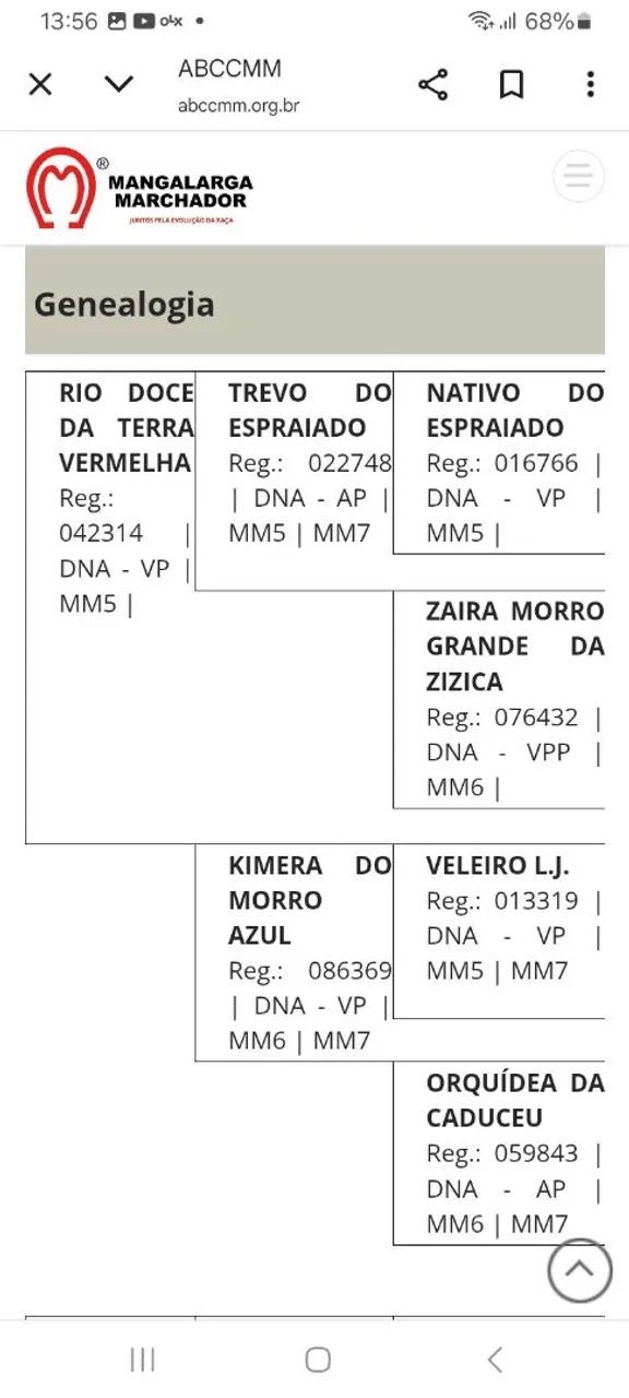 Vendo Egua MM 