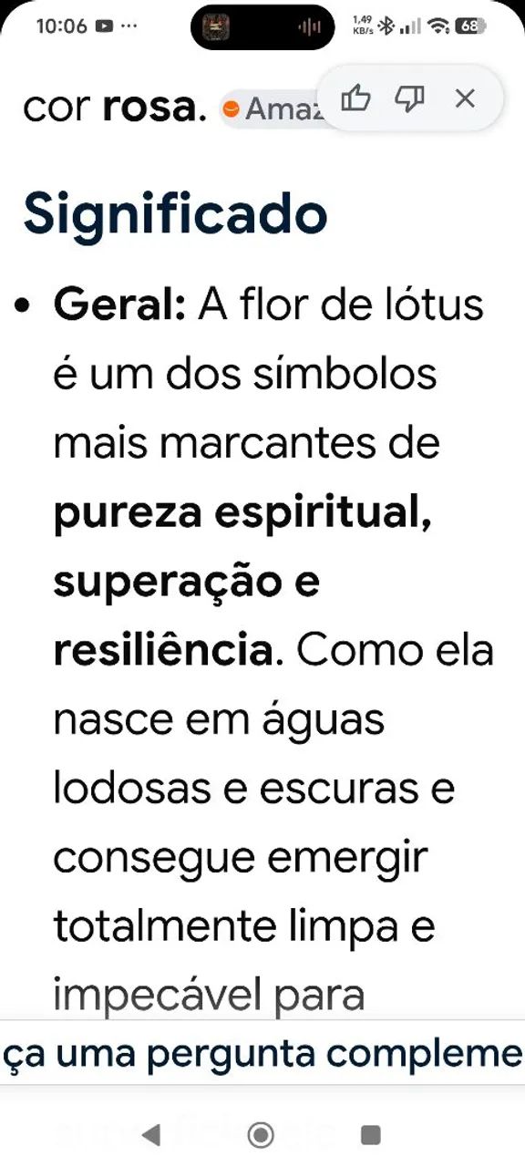 Leão meditativo  - Foto 3