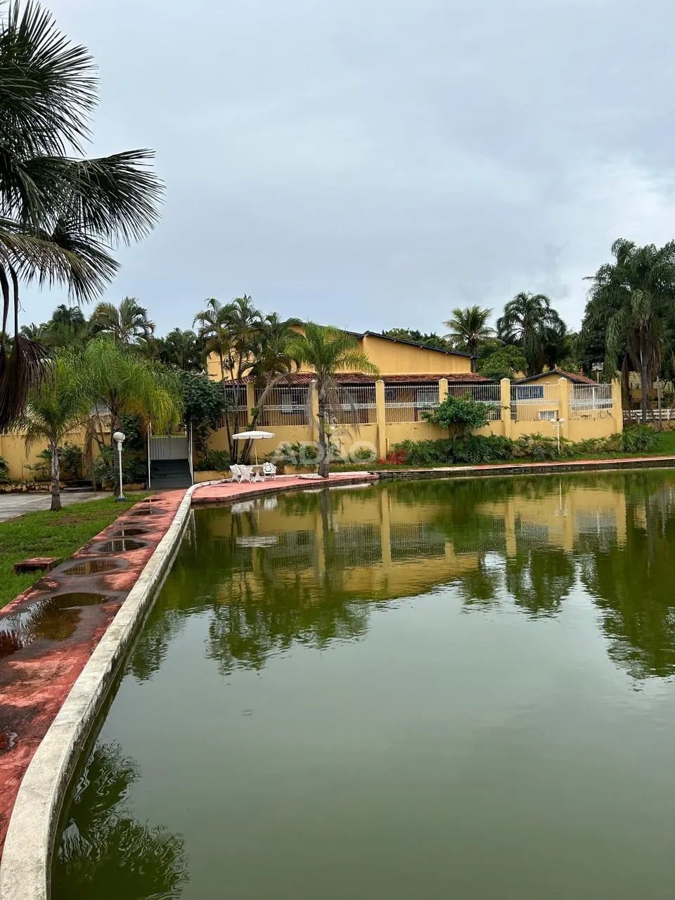 Chácara dentro de Goiania - Foto 2