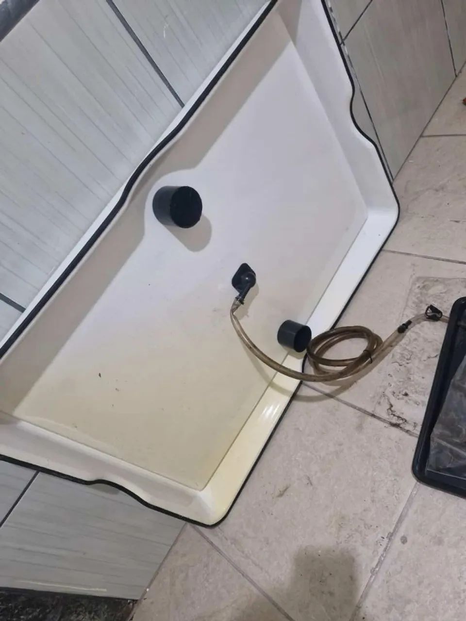 Weasy Dog grande  - Foto 2