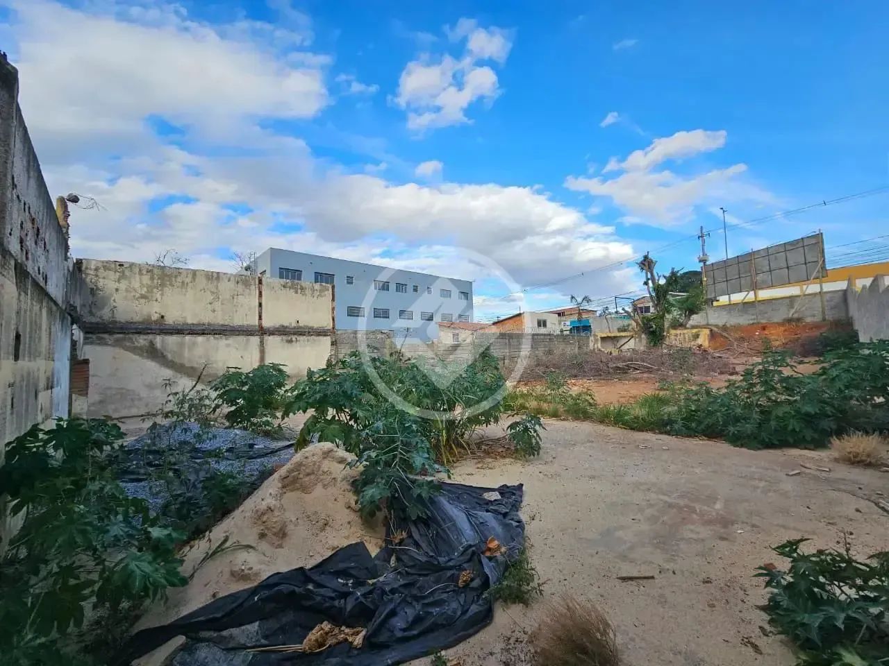 Lote Comercial Jardim Ipe codigo: 272070 - Foto 5