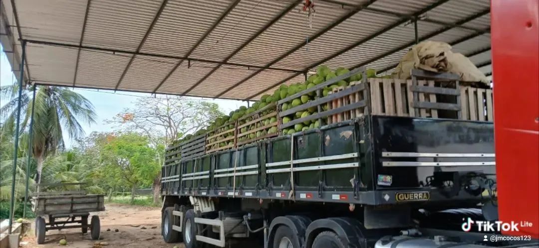Fh 460 2020 6x2 e carrega guerra 2016 - Foto 2