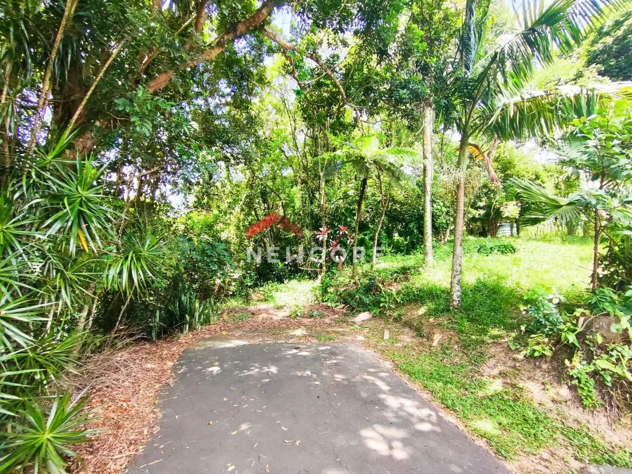 Lote em Rua Antônio Dal Farra - Vila São Jorge - Siderópolis/SC - Foto 3