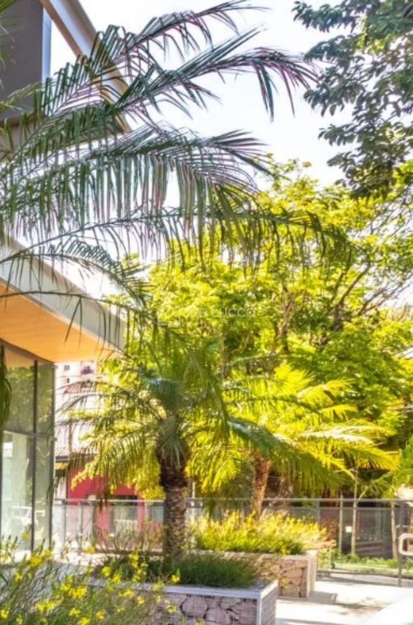 sala - Jardim Nossa Senhora Auxiliadora - Campinas - Foto 5