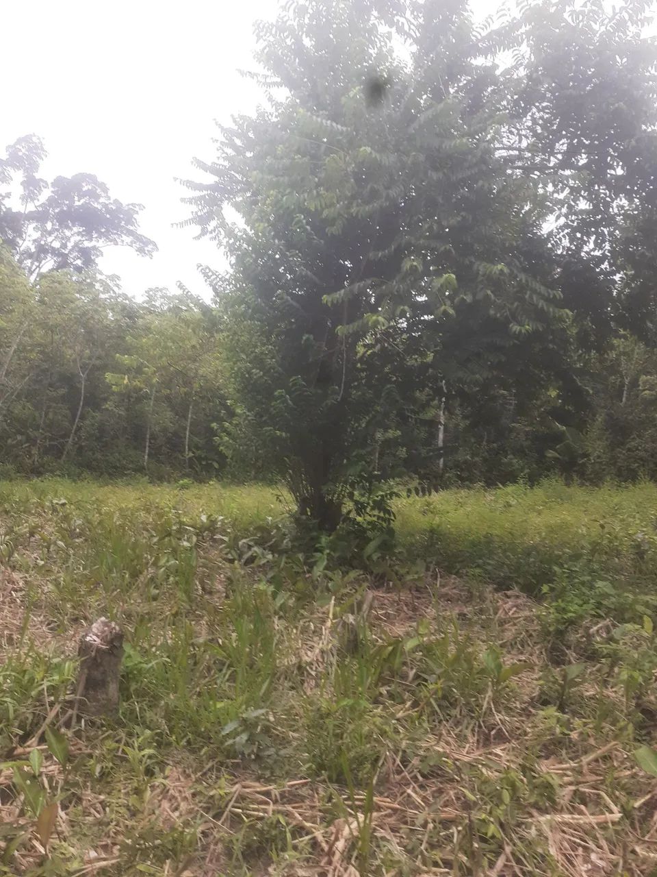 Compre agora - Foto 2