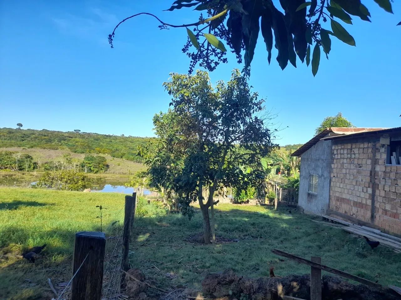Fazenda 103 Alqueires 