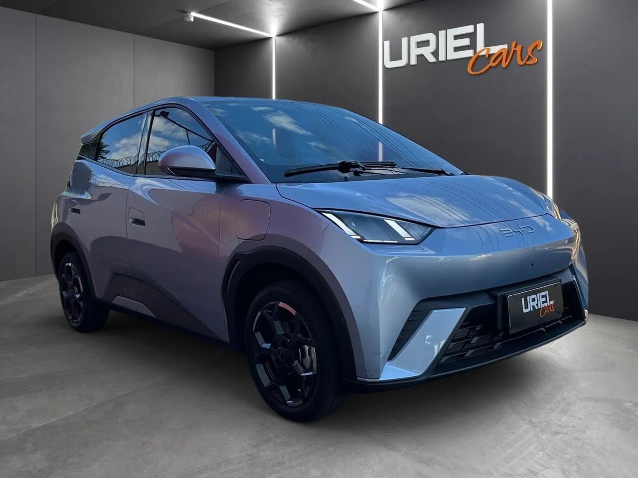 BYD Dolphin GS (Elétrico) 2027 - Foto 2
