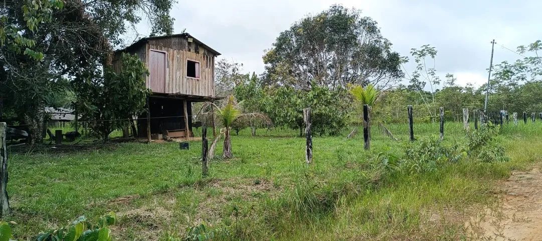 Sítio à venda br-319 Km 110 - Foto 4