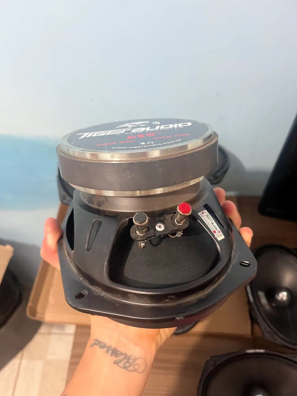 69 TIGGER 300 RMS - Foto 2