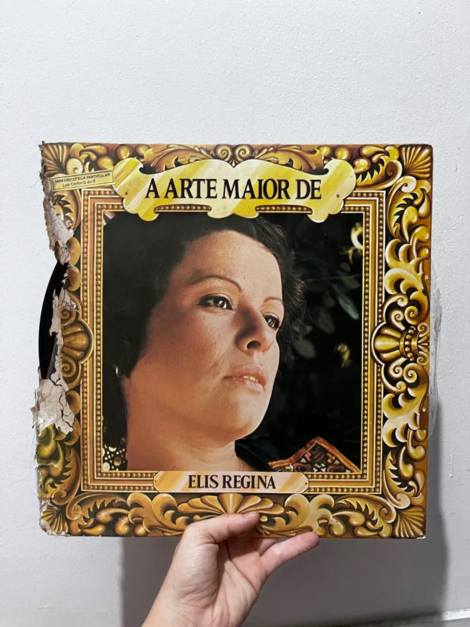 COLEÇÃO ELIS REGINA 