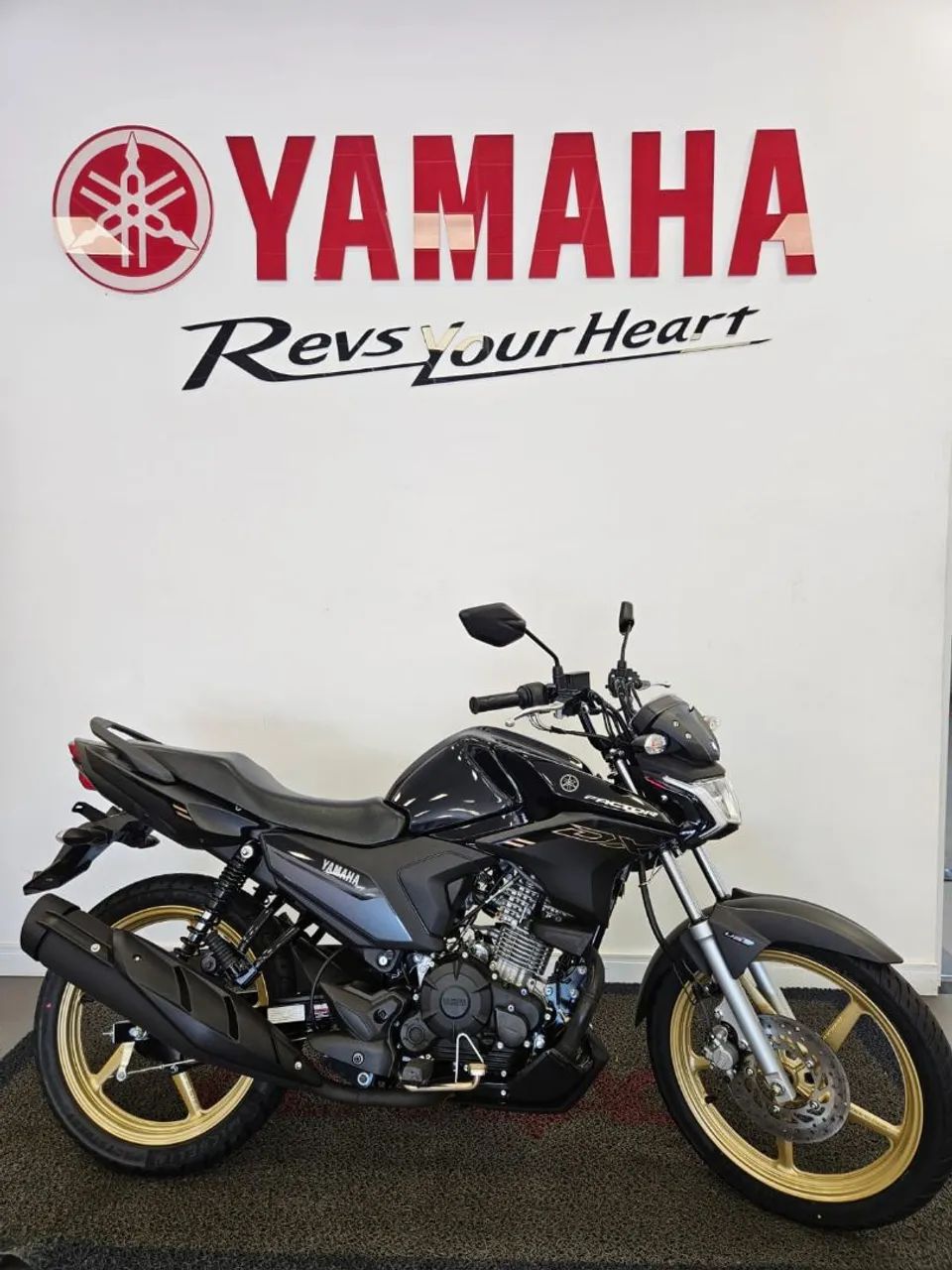 YAMAHA YBR FACTOR 150  DX  2026 - Foto 2