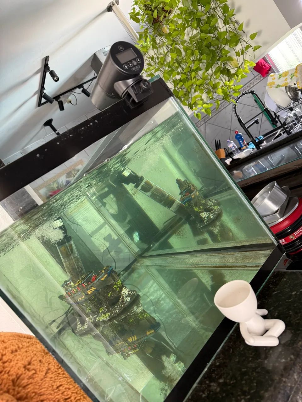 Vendo aquário completo grande  - Foto 3