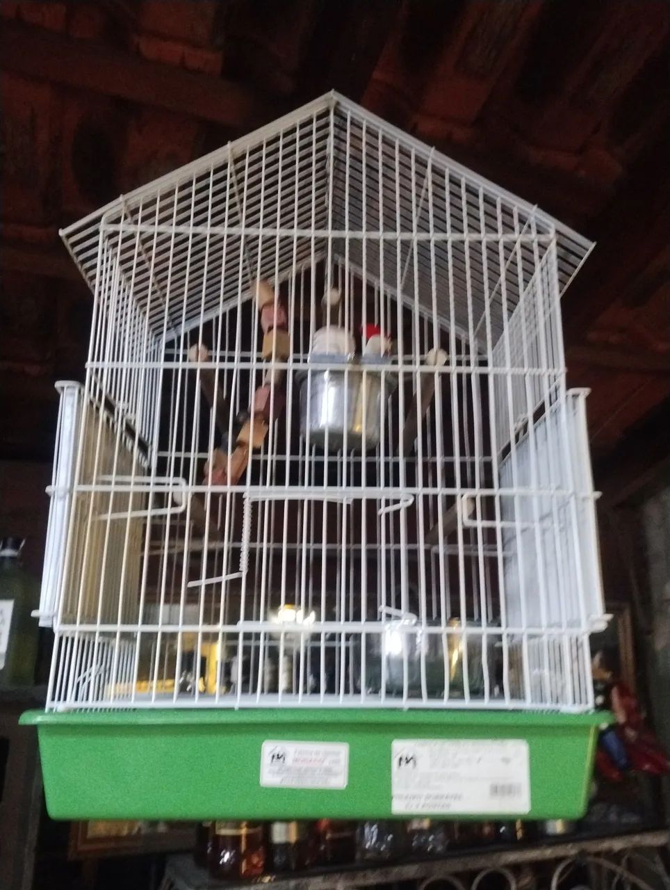 Gaiola de calopsita  completa