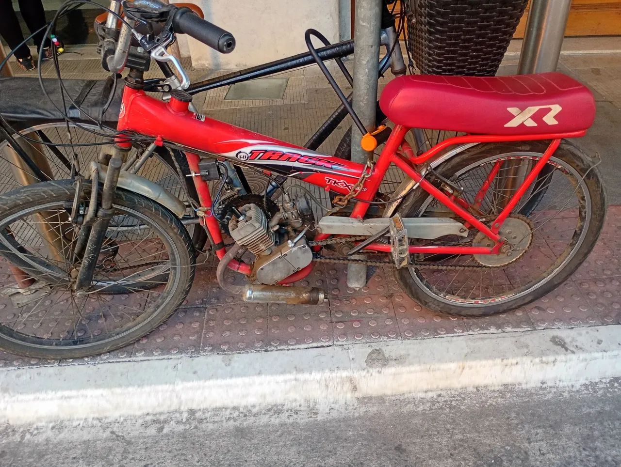 Vendo ou negócio em cavalos 