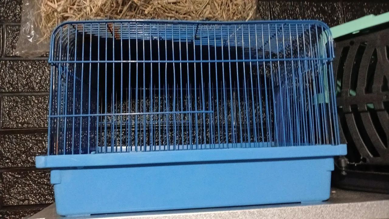 Gaiola hamster