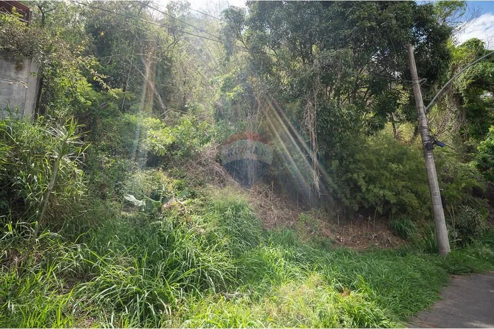 Terreno Paineiras
