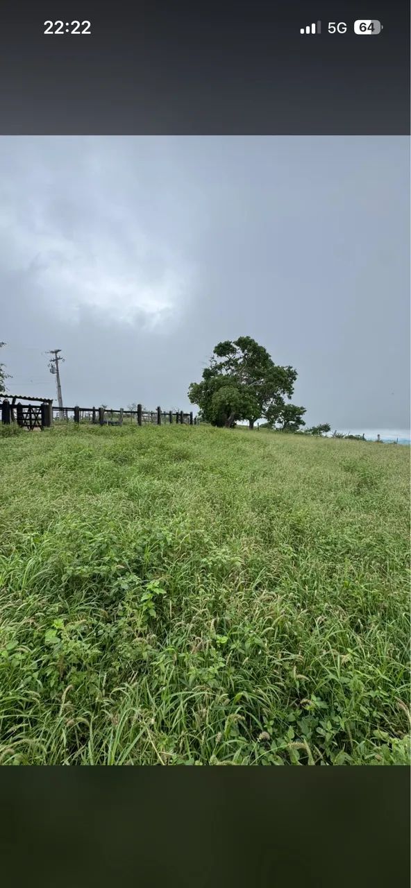 Vendo fazenda a 7km de Itaberaba  - Foto 4