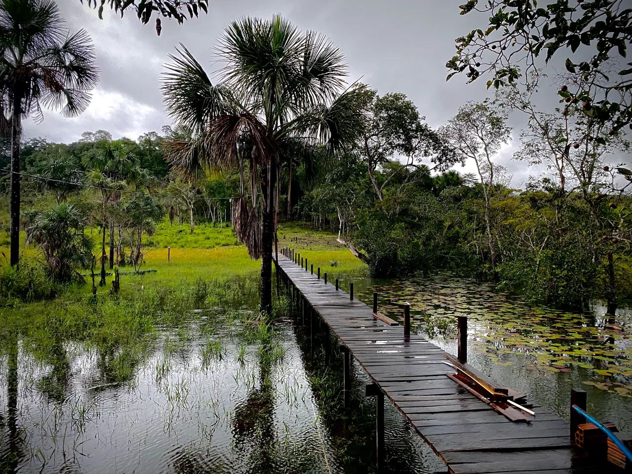 TERRENO À VENDA - RIO MATAPI - Terrenos, sítios e fazendas - Porto ...