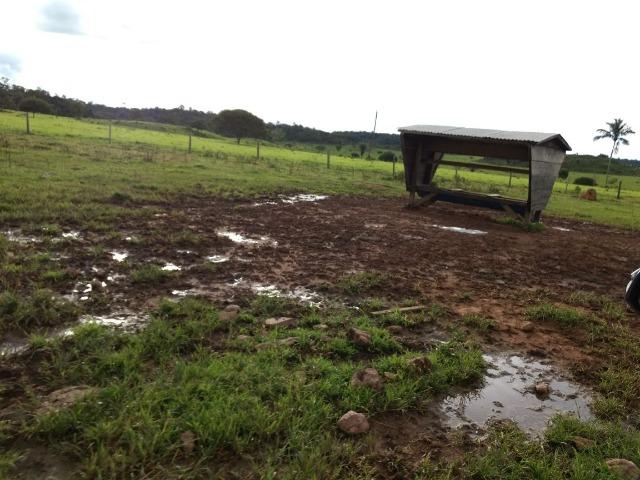 Fazenda de 150 alqueires, com 120 aberto 65 km de Guarantã do Norte -MT - Foto 7