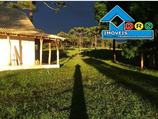 Fazenda - Fazenda a Venda no bairro Área Rural de Ponta Grossa - Ponta Grossa, P... - Foto 3